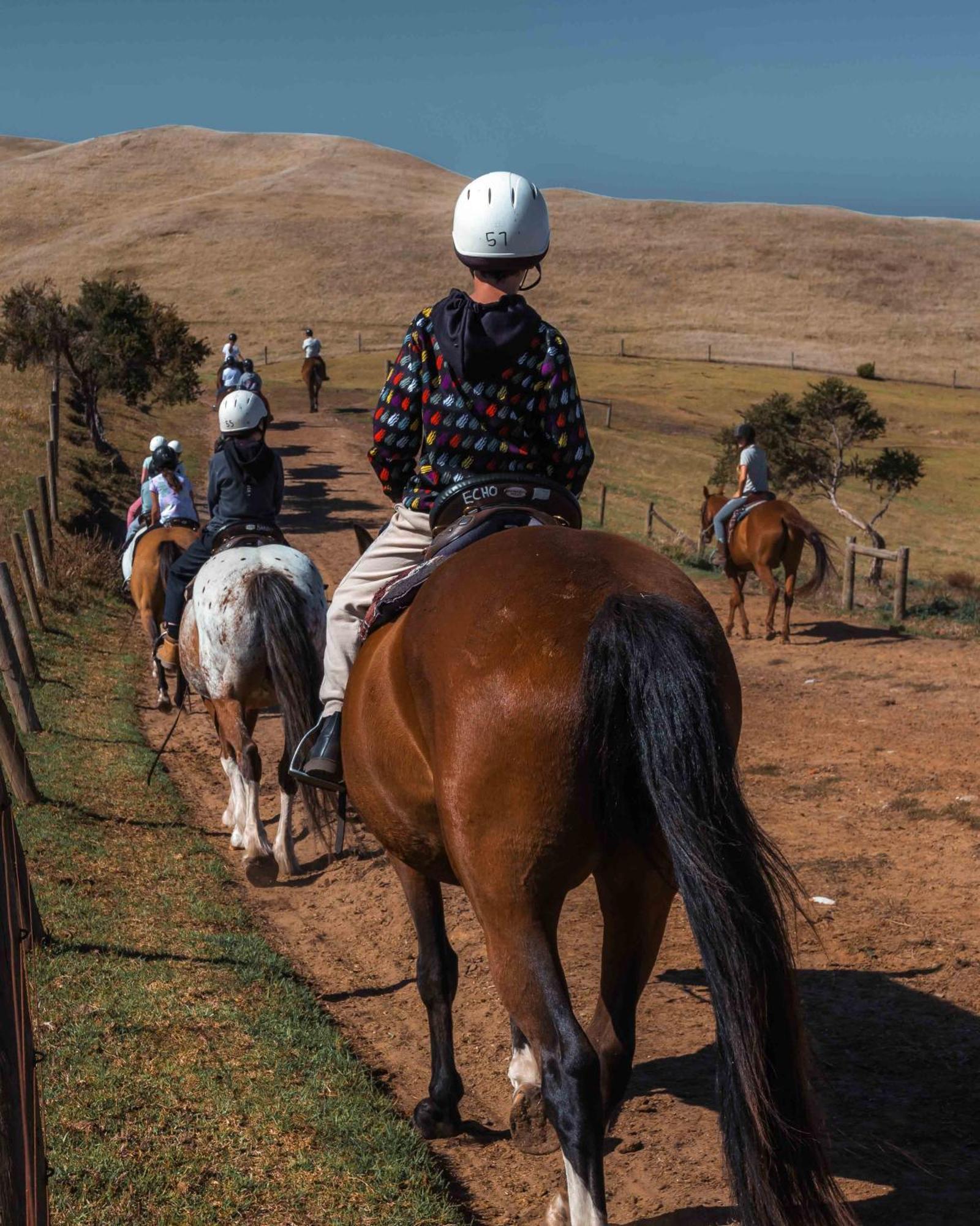 Boneo The Ranch Mornington Peninsulaヴィラ エクステリア 写真